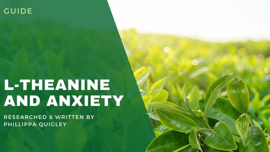Photo inspiration: Picture Idea: L Theanine And Anxiety