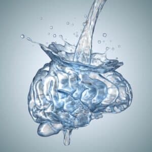 Water brain